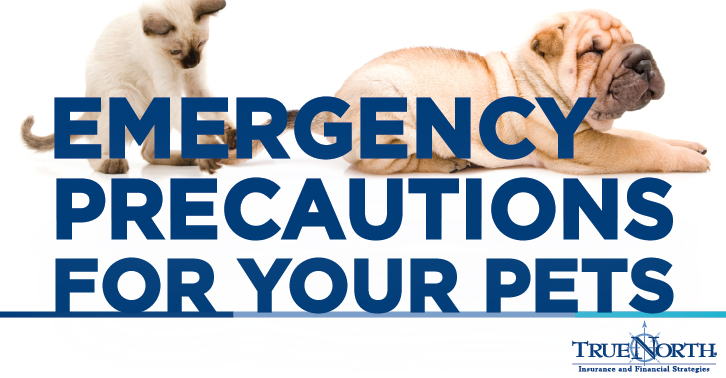 Emergency Precautions for Pets
