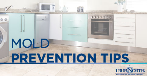 mold prevention